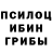 Галлюциногенные грибы Psilocybine cubensis Twedikov Alexandr