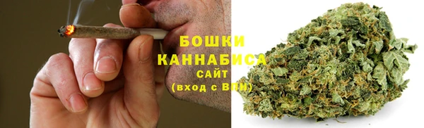 стаф Инсар