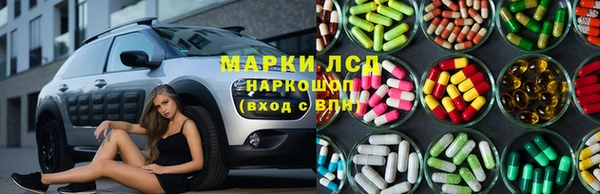 стаф Инсар
